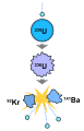 Nuclear fission
