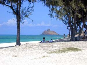 Paaka kahakai kailua