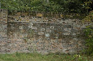Part of the Dawley Wall, Harlington, Middlesex, from the inside, 2014