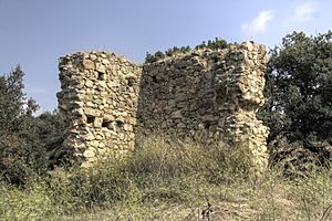 Pau - Castell de Vilaüt
