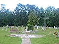 Pine Grove United Methodist Cemetery in Webster Parish, LA IMG 0667