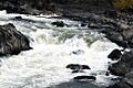 Potomac River