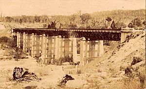 Railway Bridge, Stanthorpe, Qld - very early 1900s