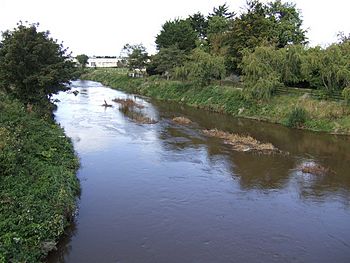 River Deel - geograph.org.uk - 581931.jpg