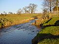 River Leith - geograph.org.uk - 113432