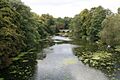 River Stour, Blandford Forum - geograph.org.uk - 1496533