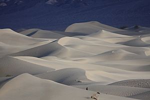 Rolling Mesquite Flat Sand Dunes