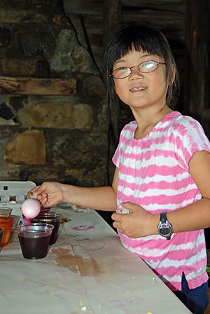 SK Coloring eggs with natural dyes (5664339651)
