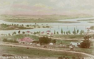 SLNSW 796772 Parramatta River NSW