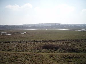 Salthouse Marshes - geograph.org.uk - 377903.jpg