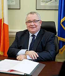 Sean O'Fearghail (official portrait).jpg