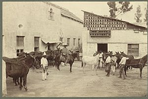 Shoeing the Mules (Mexican Village Scene)