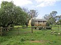 Sloans Cottage, Leda, August 2019 05