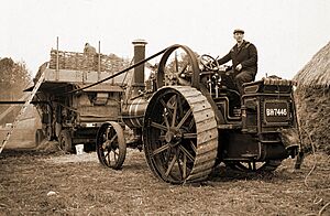 Steam threshing