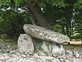The Lower or Western Dyffryn Cromlech - geograph.org.uk - 220453
