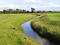 The River Waver, Abbeytown - geograph.org.uk - 901020