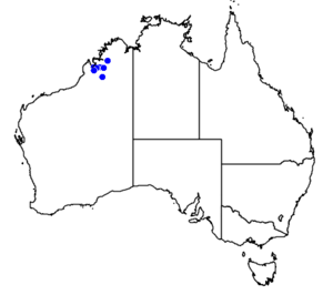Rivers of Kimberley district, northwestern Australia