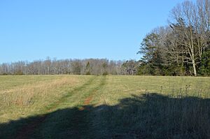 Tusculum rear driveway