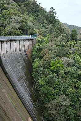 Upper Nihotupu Dam with steep steps up its face.jpg