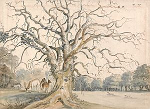 View of a Park with Deer by William Byron, 4th Baron Byron.jpg