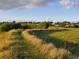 View towards Pulborough from the Brooks - geograph.org.uk - 3161854