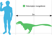 Vraptor Scale