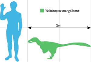 Vraptor Scale