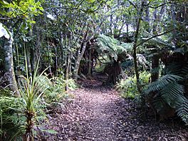 Waikato River Trails01.JPG
