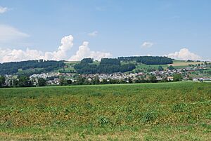 Wauwil 031
