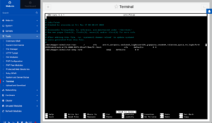 Webmin 2.010 - Terminal