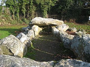 Wedge Tomb - geograph.org.uk - 1658874