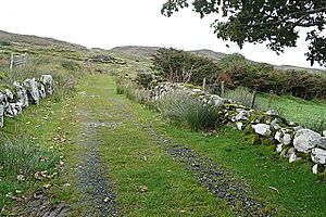 Western Way over The Reek - geograph.org.uk - 968003