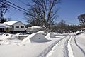 Winter Storm Jonas - Fairfax Villa Neighborhood - Maple Street - 5