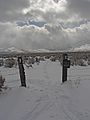 Winter in Washoe Lake State Park