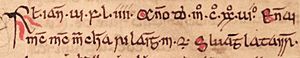 Énna Mac Murchada (Bodleian Library MS Rawlinson B 489, folio 49v)