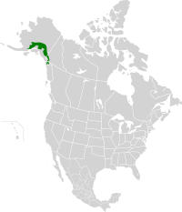 Alaska-St. Elias Range tundra map.svg