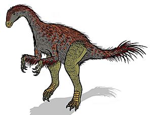 Alxasaurus YWRA 400