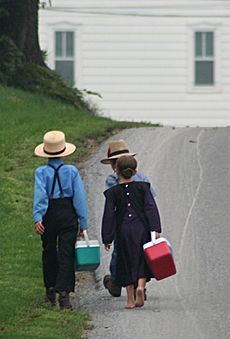 Amish - On the way to school by Gadjoboy-crop