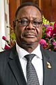 Arthur Peter Mutharika 2014 (cropped)