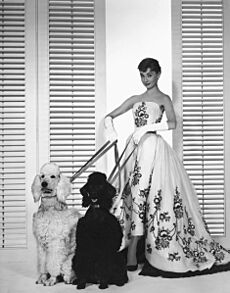 Audrey Hepburn − Sabrina (1954)