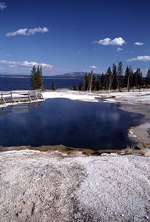 Black pool