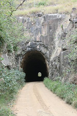 Boolboonda Railway Tunnel western portal (2009).jpg