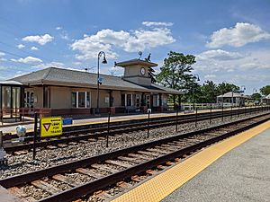 Buffalo Grove Metra Station Tracks 2021-06-05