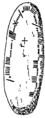 CIIC 156 (Richard Brash, 1879)