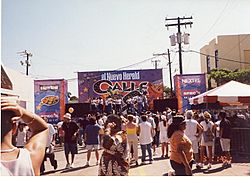 Calle-ocho-festival-2001