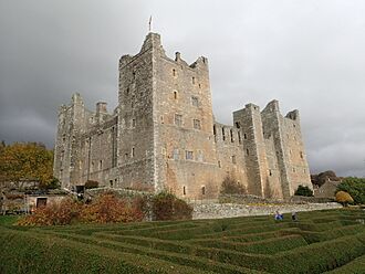 Castle Bolton and its maze - geograph.org.uk - 7335033.jpg