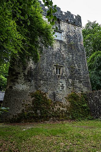 Castles of Connacht, Dunsandle, Galway (2) - geograph.org.uk - 5829606.jpg