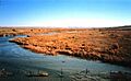 Cimarron river near forgan ok