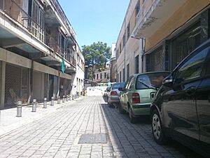 Close to the buffer zone - panoramio