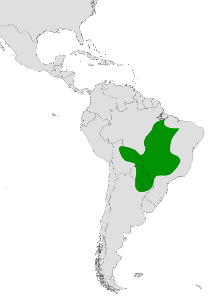 Crax fasciolata range